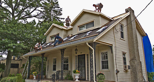 Best Shingle Roofing Installation  in Altoona, WI